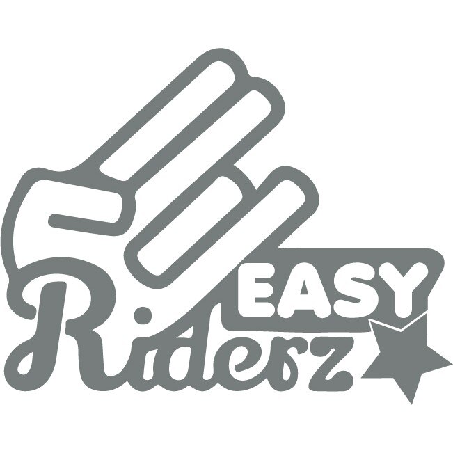 Sticker auto - Easy Riderz - Gri Metal - 25x20 cm