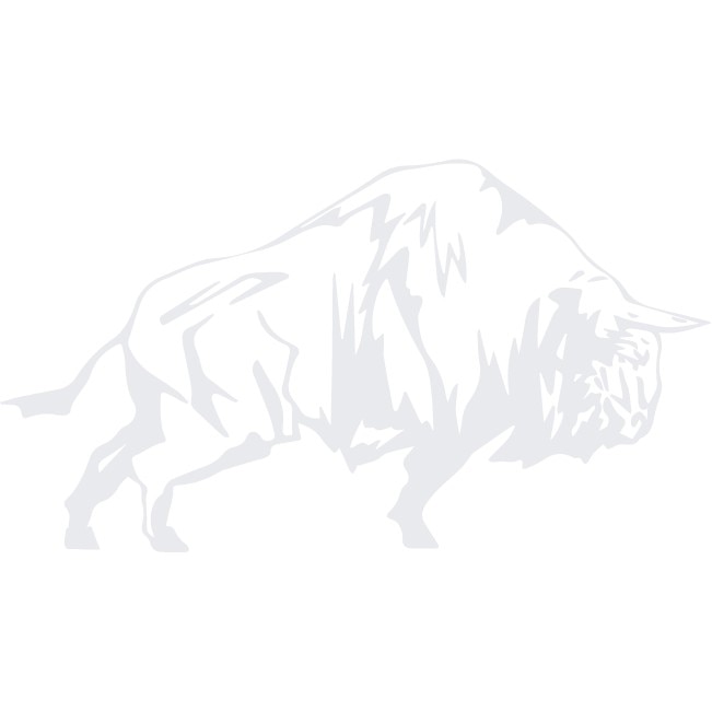 Sticker auto - Zimbru - Alb polar - 30x17 cm