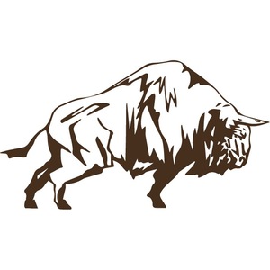 Accesorii auto tuning