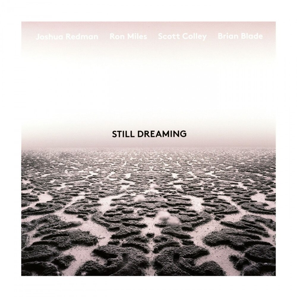Joshua Redman Feat. Ron Miles, Scott Colley & Brian Blade-Still Dreaming-LP