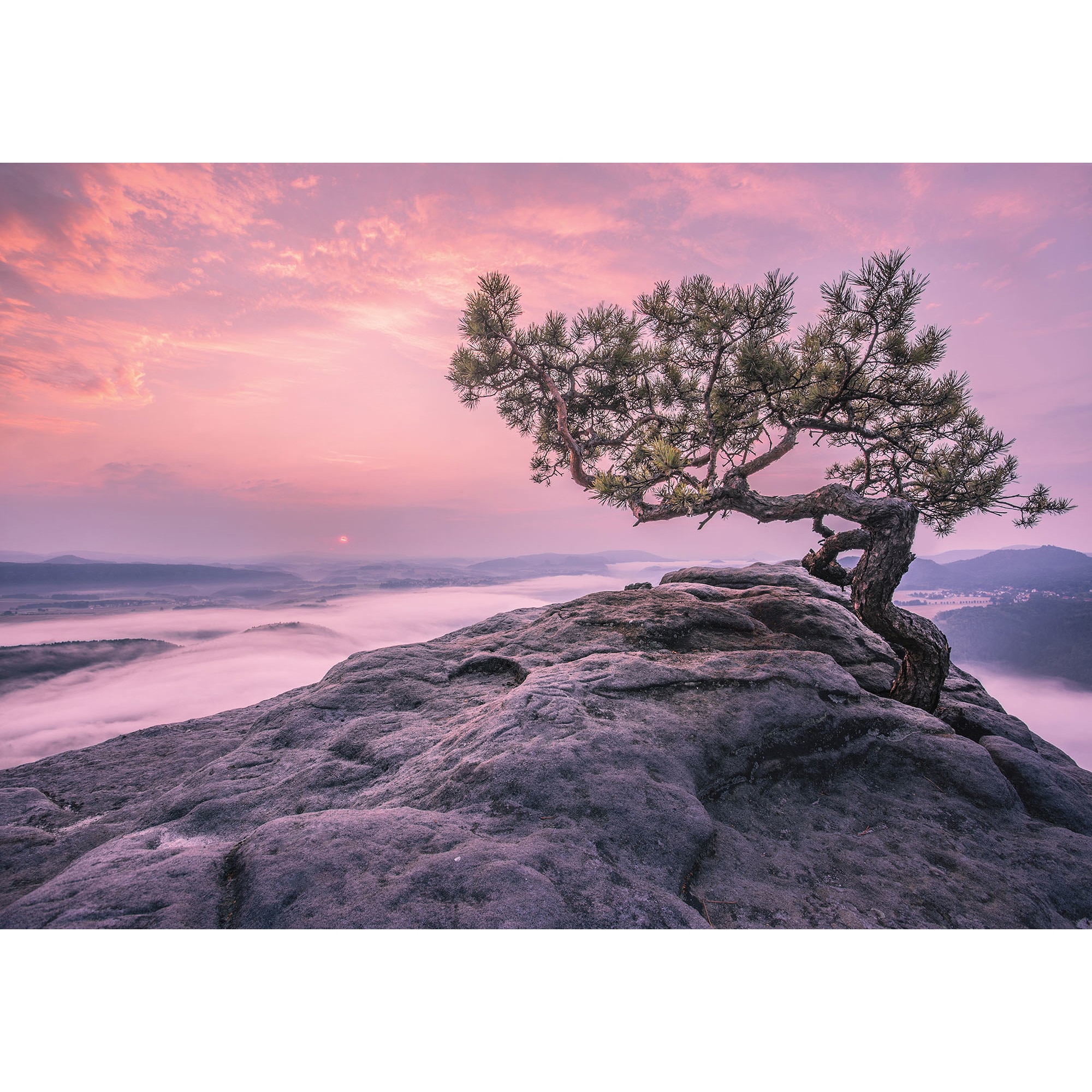 Fototapet DEGRETS 83931 Lumea viselor 184x254cm