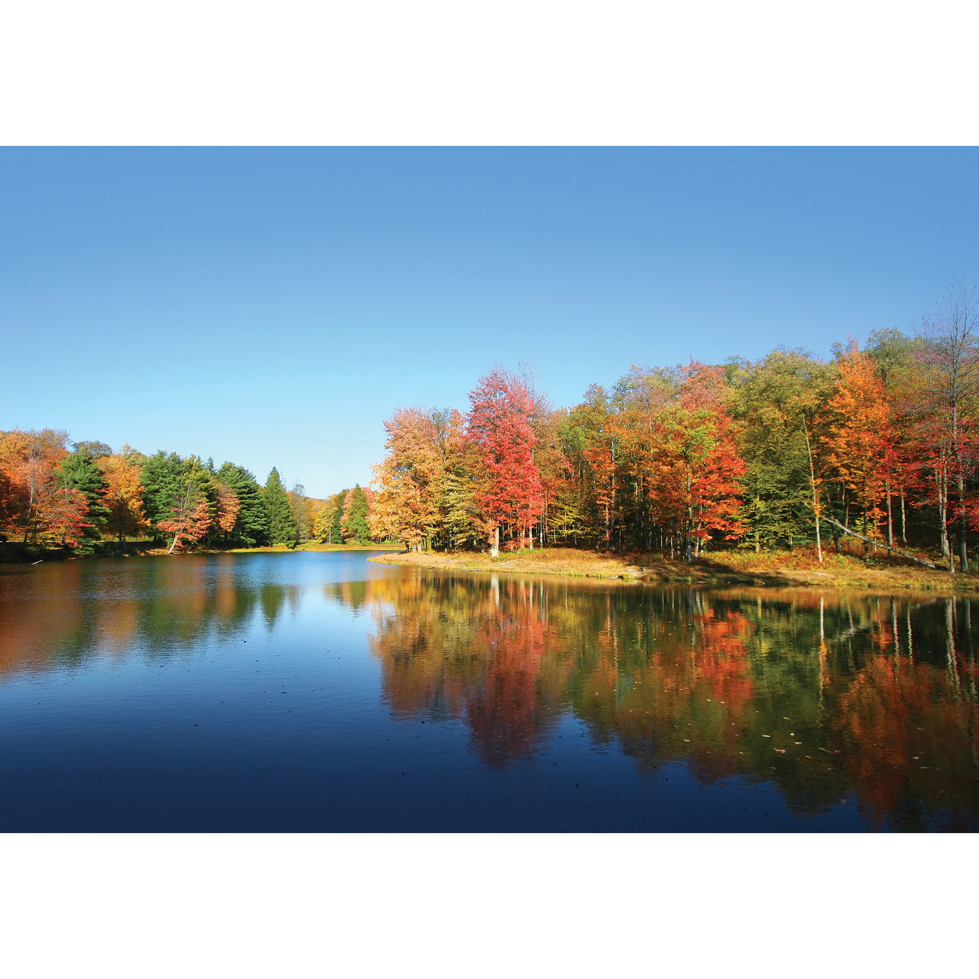 Fototapet DEGRETS 83936 Basm de toamna 184x254cm