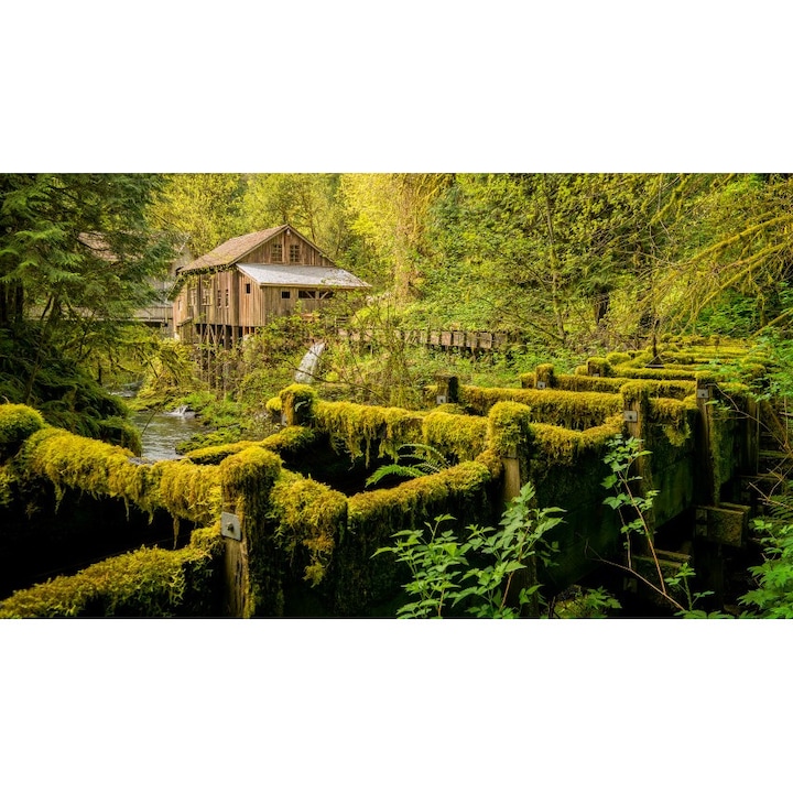 Картина на платно Пейзаж 235, 50х90 см
