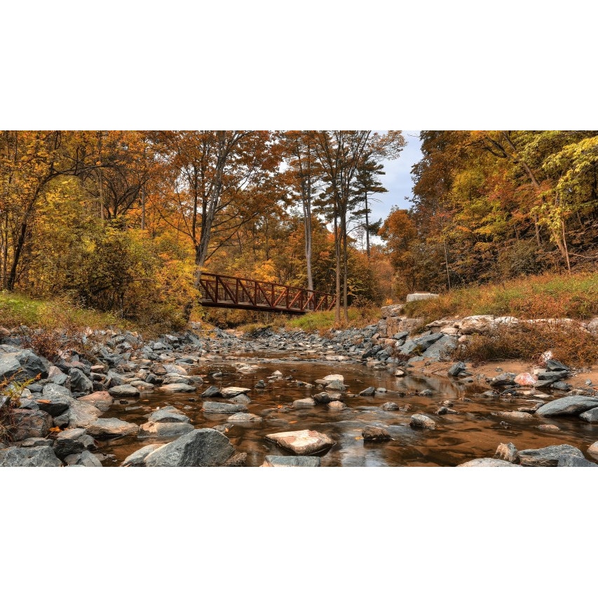 Tablou canvas Peisaj 282, 50x90 cm