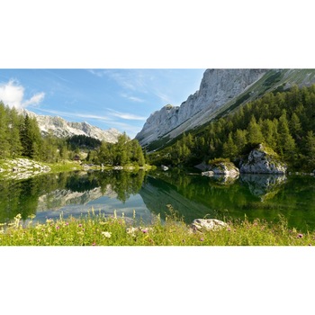 Tablou canvas Peisaj 276, 50x90 cm Tablou canvas Peisaj 276, 50x90 cm