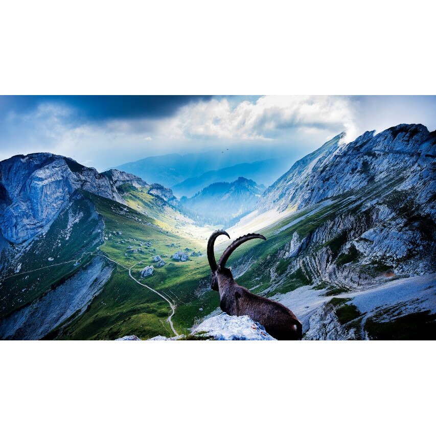 Tablou canvas Peisaj 325, 50x90 cm