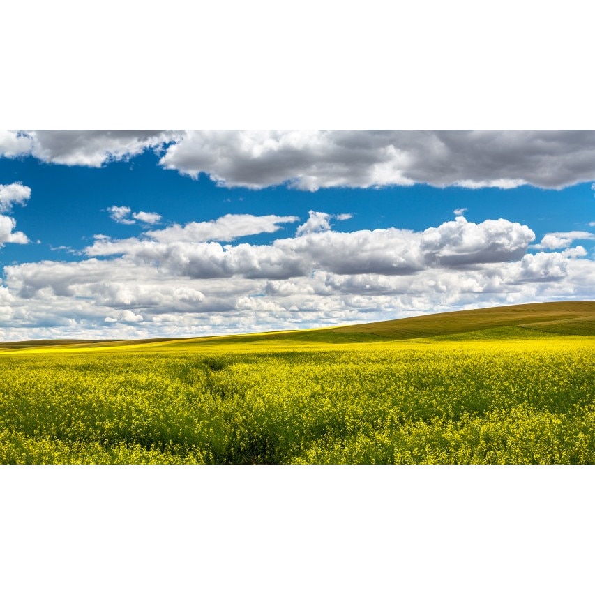 Tablou canvas Peisaj 273, 50x90 cm