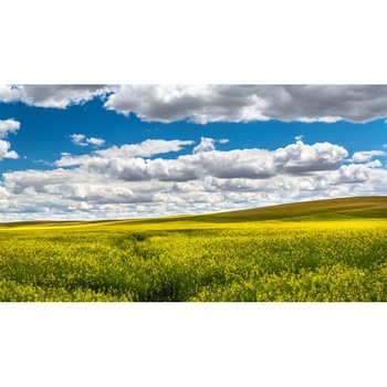 Tablou canvas Peisaj 273, 50x90 cm Tablou canvas Peisaj 273, 50x90 cm