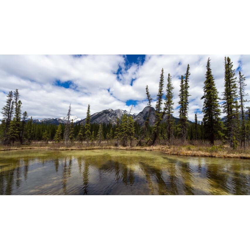 Tablou canvas Peisaj 305, 100x70 cm