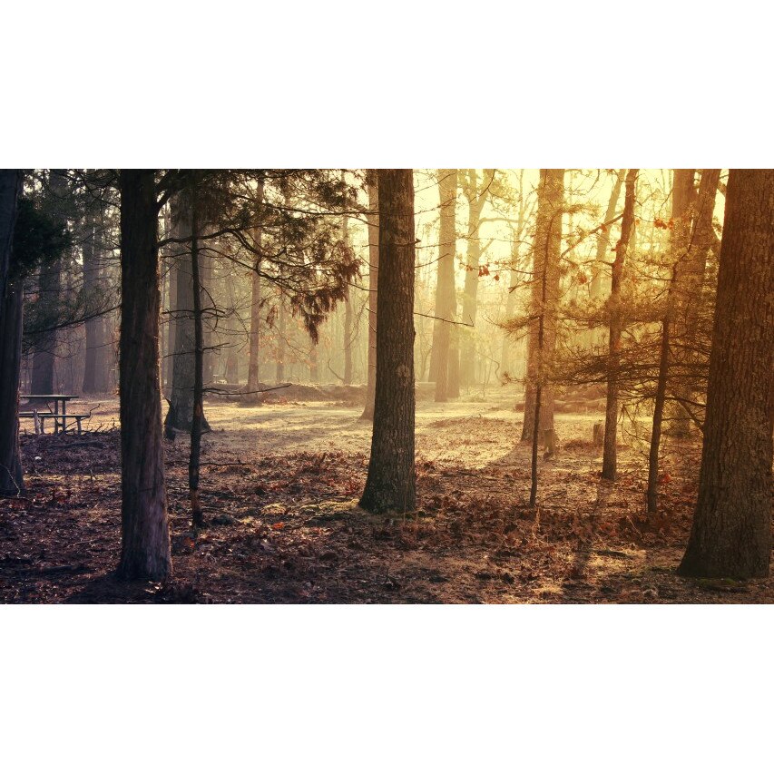 Tablou canvas Peisaj 337, 100x70 cm