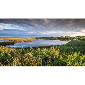 Tablou canvas Peisaj 283, 50x90 cm Tablou canvas Peisaj 283, 50x90 cm