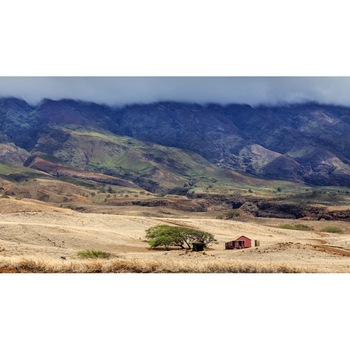 Tablou canvas Peisaj 220, 75x50 cm Tablou canvas Peisaj 220, 75x50 cm