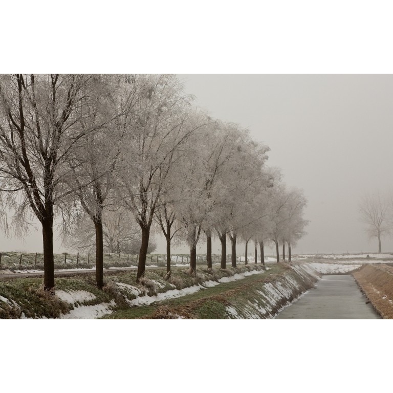 Tablou canvas Peisaj 209, 50x35 cm