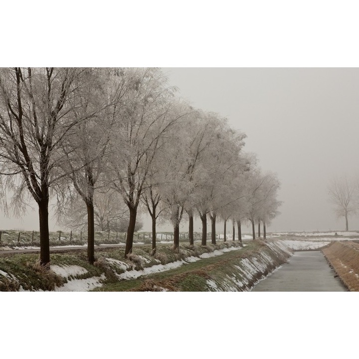 Öntapadós tapéta Canvas Landscape 209, 100x70 cm