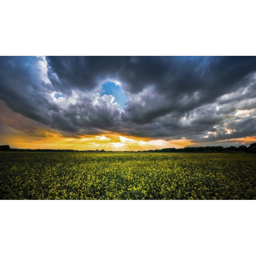 Tablou canvas Peisaj 218, 50x90 cm