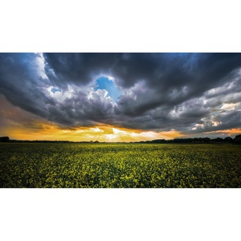 Tablou canvas Peisaj 218, 50x90 cm Tablou canvas Peisaj 218, 50x90 cm