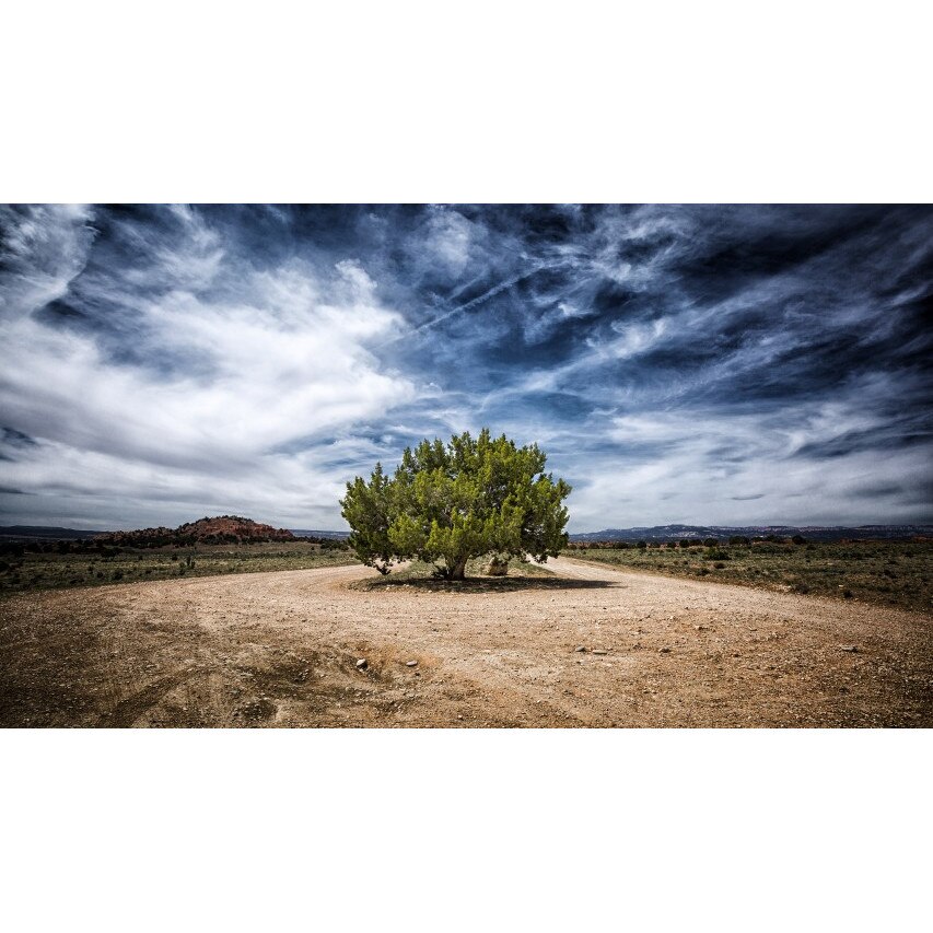 Tablou canvas Peisaj 260, 100x70 cm