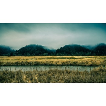 Tablou canvas Peisaj 236, 50x35 cm Tablou canvas Peisaj 236, 50x35 cm