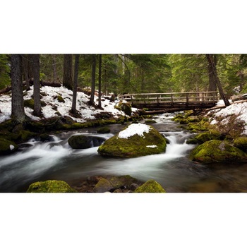 Tablou canvas Peisaj 334, 50x90 cm Tablou canvas Peisaj 334, 50x90 cm