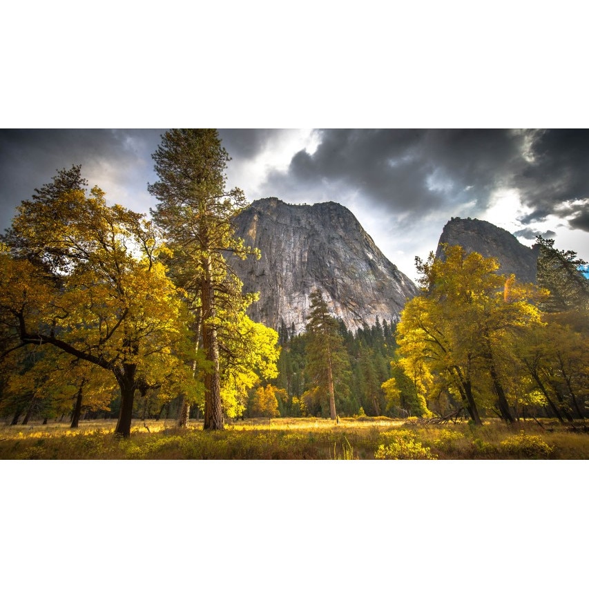 Tablou canvas Peisaj 265, 50x35 cm