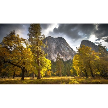 Tablou canvas Peisaj 265, 50x90 cm Tablou canvas Peisaj 265, 50x90 cm