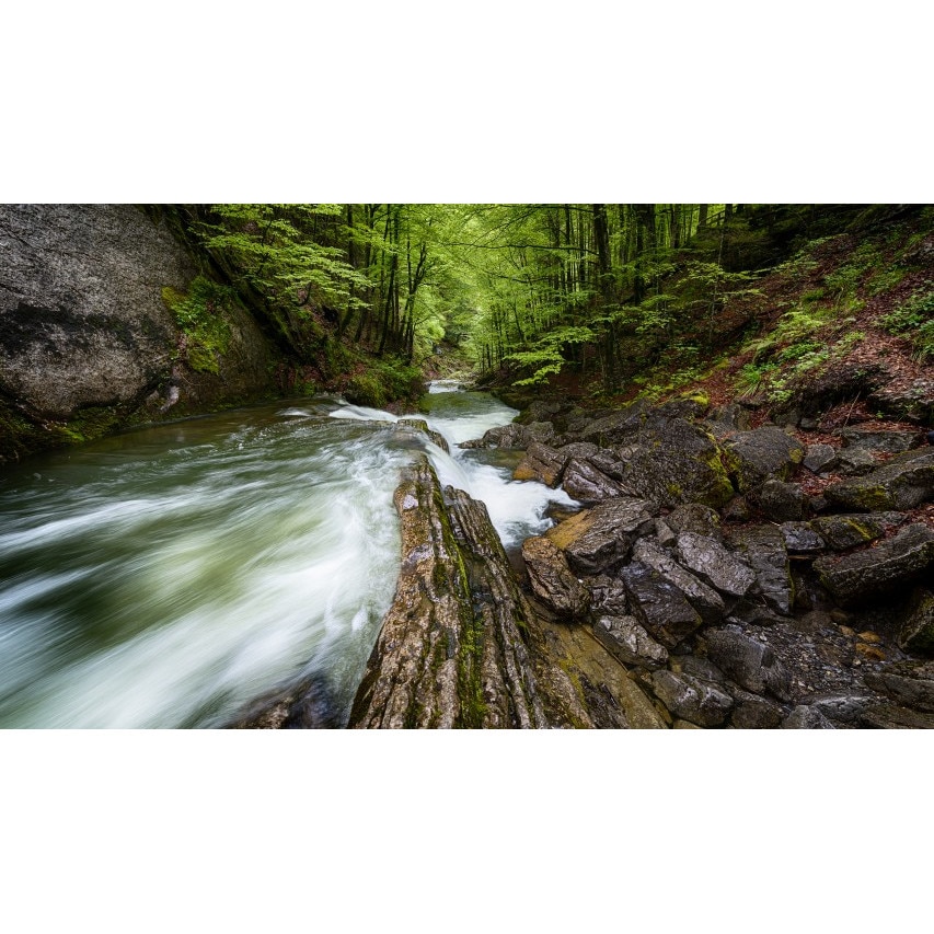 Tablou canvas Peisaj 259, 50x90 cm