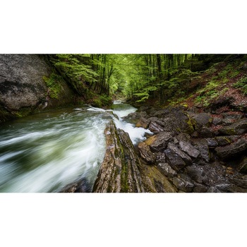 Tablou canvas Peisaj 259, 75x50 cm Tablou canvas Peisaj 259, 75x50 cm