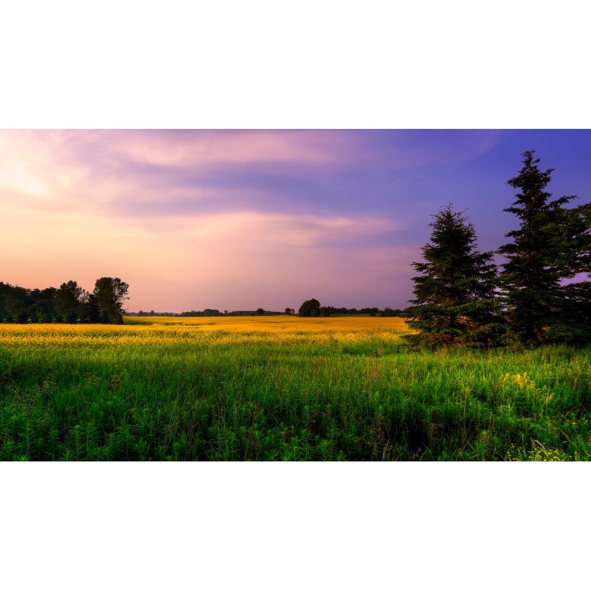 Tablou canvas Peisaj 304, 60x40 cm