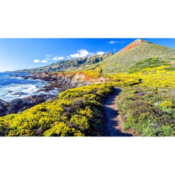 Tablou canvas Peisaj 278, 100x70 cm Tablou canvas Peisaj 278, 100x70 cm