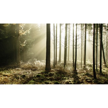 Tablou canvas Peisaj 314, 50x90 cm Tablou canvas Peisaj 314, 50x90 cm