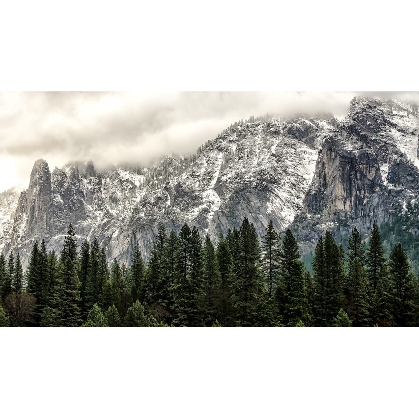 Tablou canvas Peisaj 336, 50x35 cm