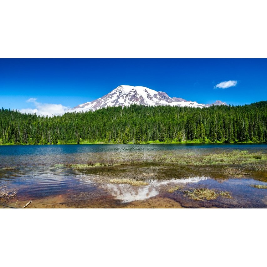 Tablou canvas Peisaj 303, 50x35 cm