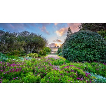 Tablou canvas Peisaj 246, 50x35 cm Tablou canvas Peisaj 246, 50x35 cm