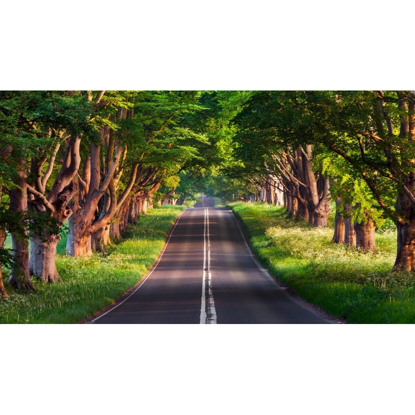 Tablou canvas Peisaj 223, 100x70 cm