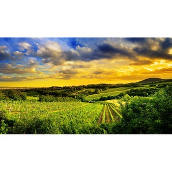 Tablou canvas Peisaj 396, 50x35 cm Tablou canvas Peisaj 396, 50x35 cm