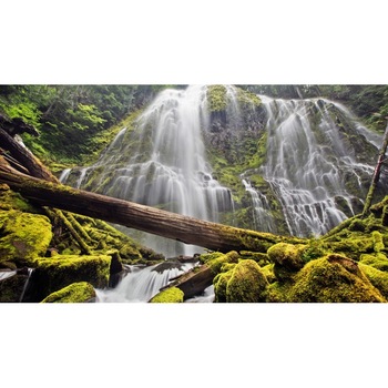 Tablou canvas Peisaj 237, 60x40 cm Tablou canvas Peisaj 237, 60x40 cm