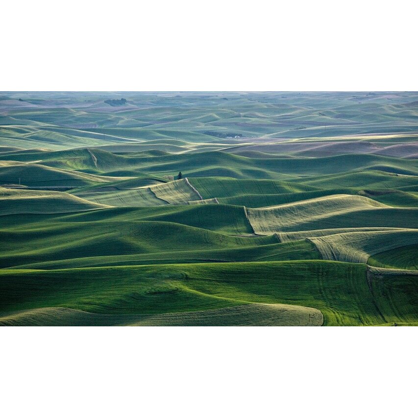 Tablou canvas Peisaj 387, 50x35 cm