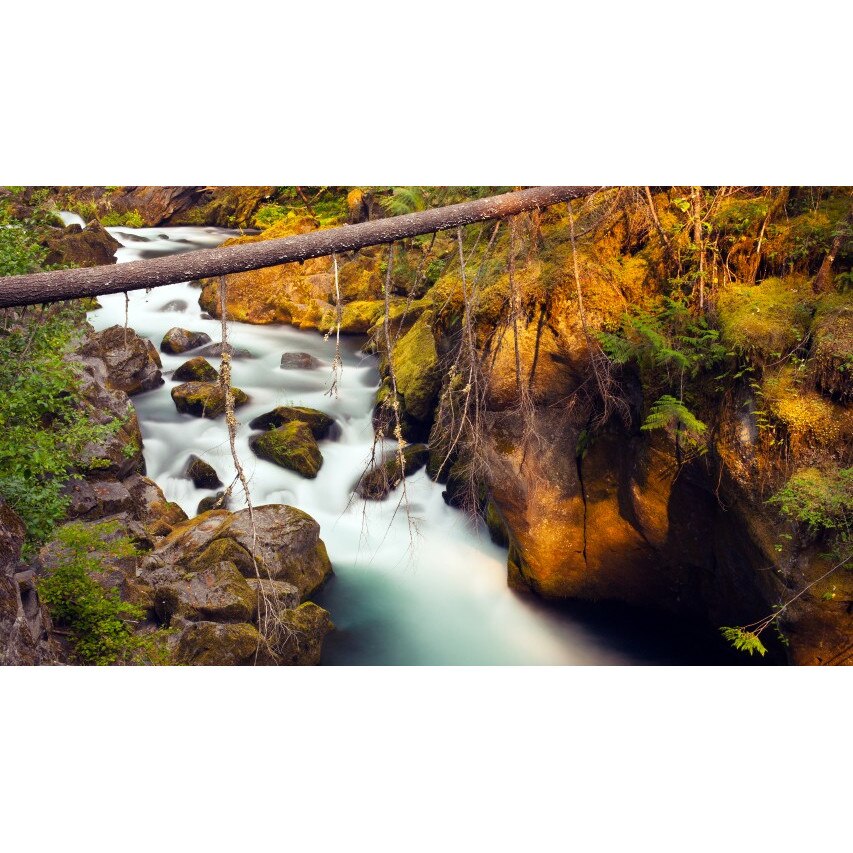 Tablou canvas Peisaj 364, 50x90 cm