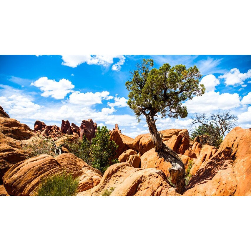 Tablou canvas Peisaj 255, 50x35 cm