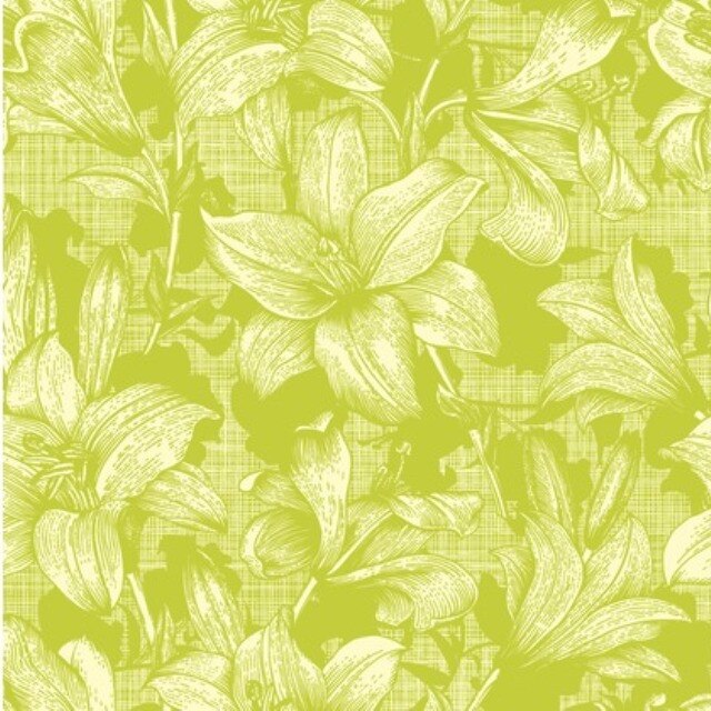 Servetele Dunisoft, Firenze Lime, impaturit in4, 40x40 cm, 12 buc