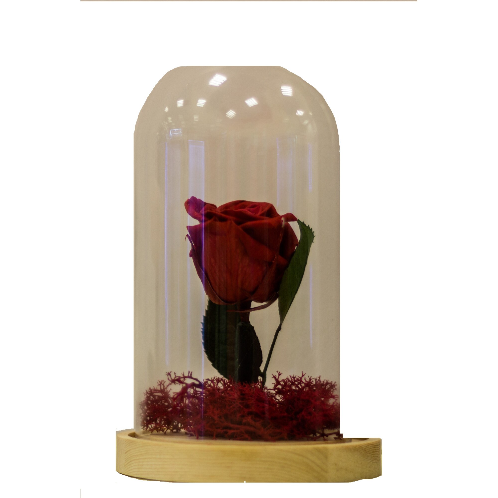 Aranjament decorativ cu trandafir criogenat