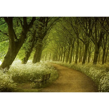 Fototapet natura, A Seat not Taken, cod 975, dimensiuni H - 254 / L - 366 , lavabil, usor de montat si de curatat, adeziv inclus Fototapet natura, A Seat not Taken, cod 975, dimensiuni H - 254 / L - 366 , lavabil, usor de montat si de curatat, adeziv inclus