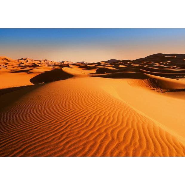 Fototapet natura, Desert Landscape, cod 976, dimensiuni H - 254 / L - 366 , lavabil, usor de montat si de curatat, adeziv inclus