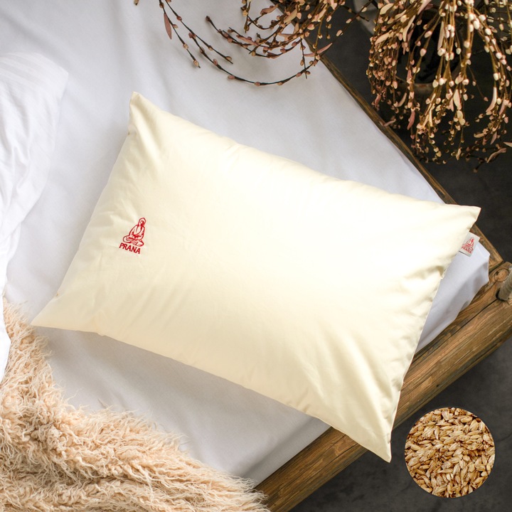 Tönkölyhéj párna 50x70 cm (prána párna)