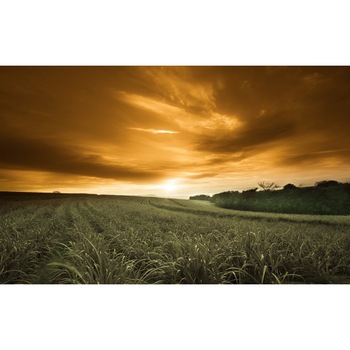 Tablou canvas Peisaj 431, 100x70 cm Tablou canvas Peisaj 431, 100x70 cm