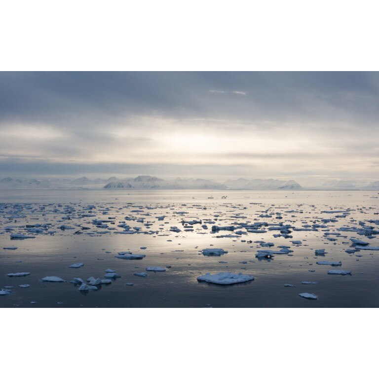 Fototapet autoadeziv Peisaj 427, 75x115 cm