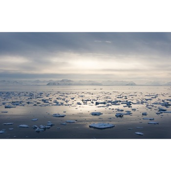 Tablou canvas Peisaj 427, 50x90 cm Tablou canvas Peisaj 427, 50x90 cm