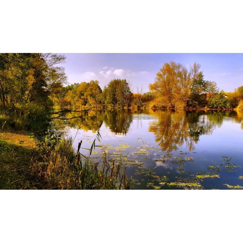 Tablou canvas Peisaj 481, 75x50 cm