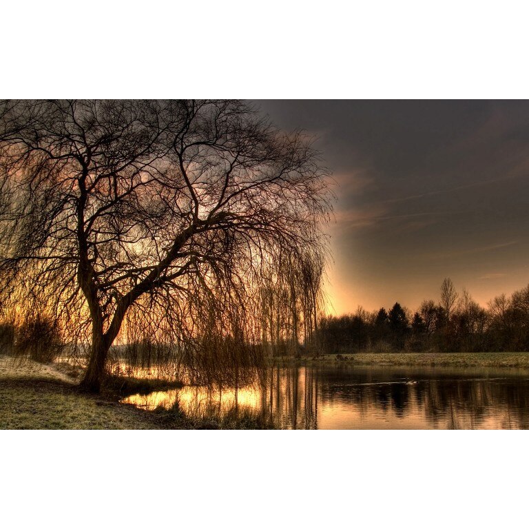 Tablou canvas Peisaj 489, 50x90 cm