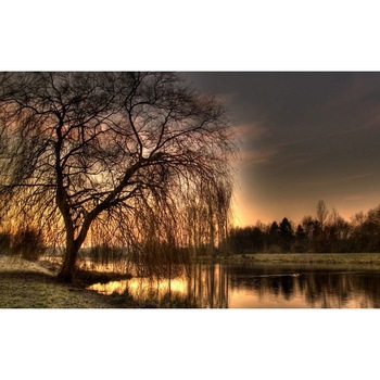 Tablou canvas Peisaj 489, 50x35 cm Tablou canvas Peisaj 489, 50x35 cm